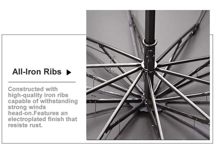 Iron ribs Frame